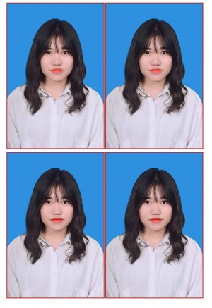 Chu Mai Anh